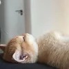 đẹp gái overthinking