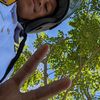 mhd_didit
