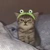 blqnka0