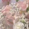 lotuswon