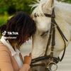 user8147716120451