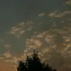 not_niko2.0