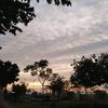 alinn_190513