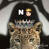 nafisayy14