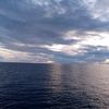 karang.laut11