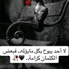hazem.mohy46