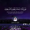 user798470996