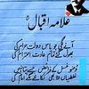 wajid.ali.dahri4