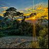 wong_gabutmu284