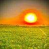 .rizwan4152
