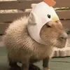 happypotato3210