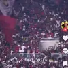 bulquinha