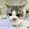 allana_33_