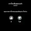 .rabbit511