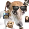 peu_dogao