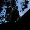 deniawan_brainrot