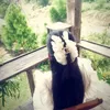 _thuu_huonq
