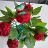 nermin_ucar3