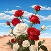 toma.talukdar.tom0