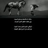 user4453878292186