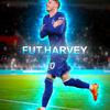 fut.harvey