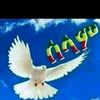 mesig2312