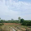 ada.aja029