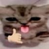 meowwwmeoww01