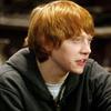 ron.weasley376