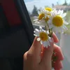 zhe3r