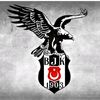 beikta2955