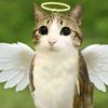 el_michi062