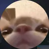 puculka1