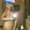 issbanicarrasco