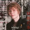 wiplid_sley