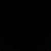 _robin689
