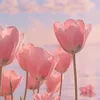reine_192