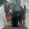 pawsquad13