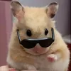 mrnulo