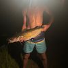 thomasfishes14