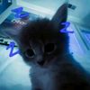 perry_the_platypus314