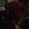 rose._rose63