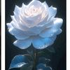 user15305742615486