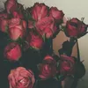 Noor