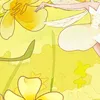 kyl_161
