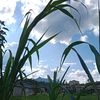 gatau._042