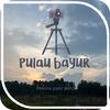 Pulau bayur