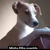 rozangela.monteir8