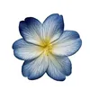 user673570111
