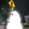 balqisbunny7